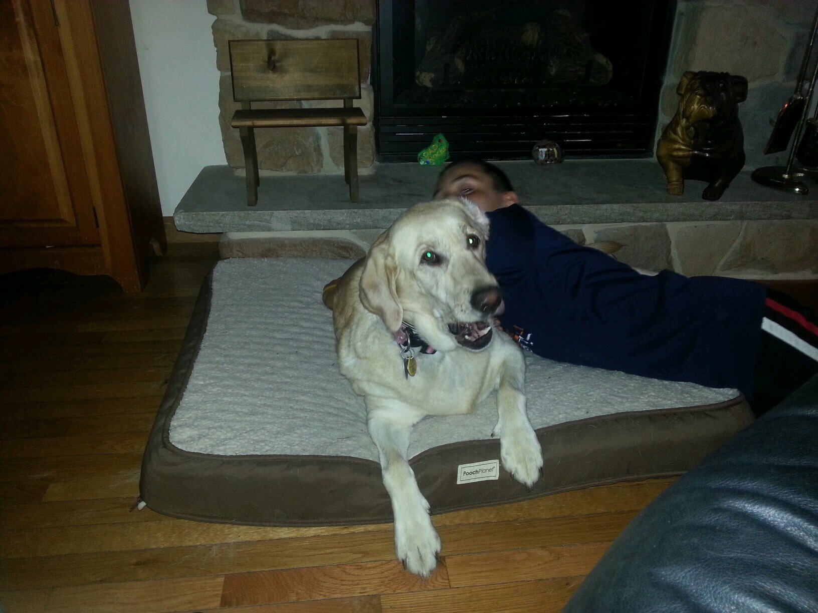 Three_Js's profile picture. 