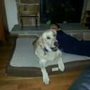 Daniel Senior - @Three_Js - Twitter