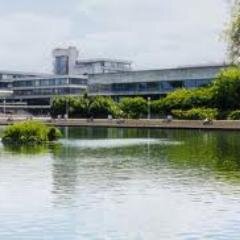 UCD English Studies Profile