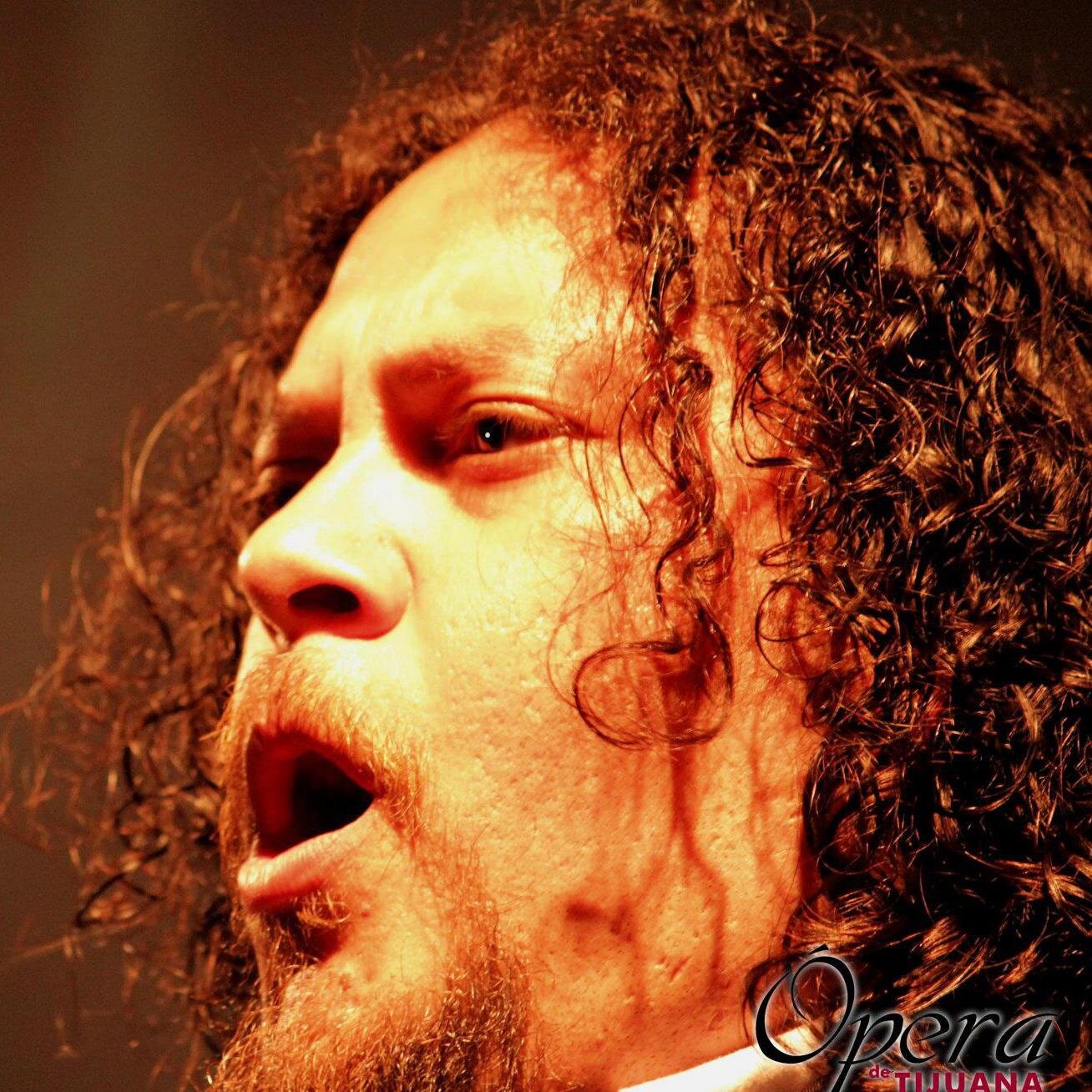 guitarrista, cantante lirico,director coral y de orquesta,arreglista,productor,compositor