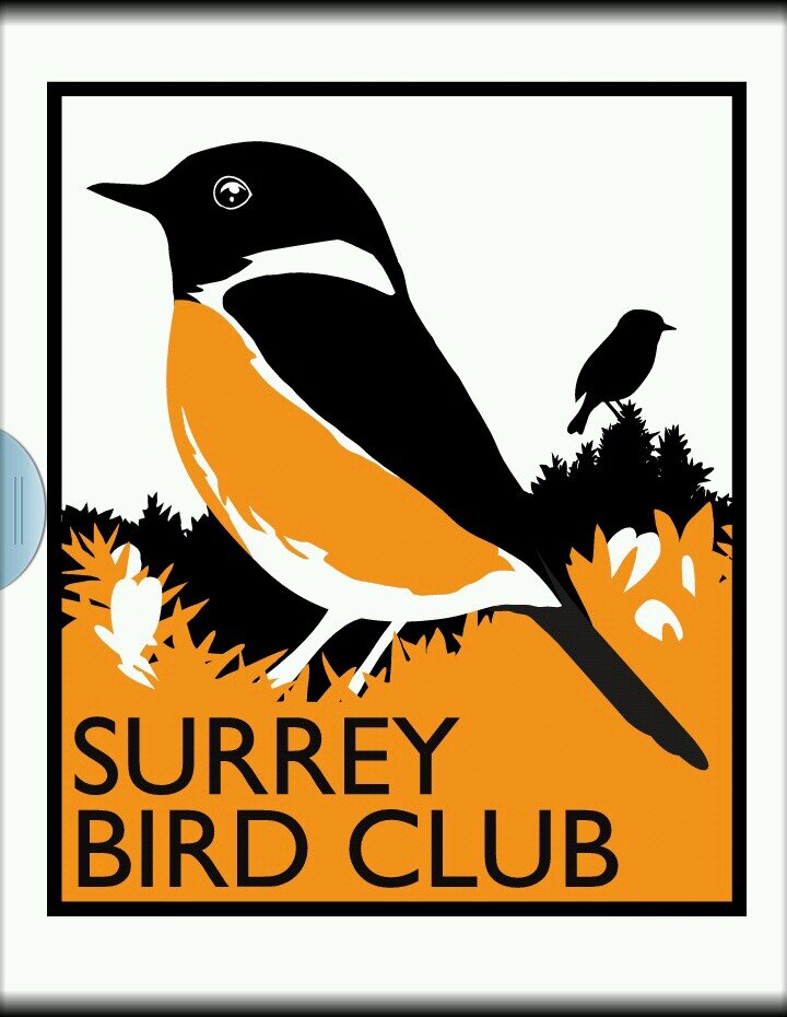 Bird sightings and news from the Surrey Bird Club.

Join the club at https://t.co/b8rQt7jV8A… 

Run by @dave_harris23.