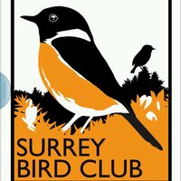 SurreyBirdClubNews (@surreybirdnews) 's Twitter Profile Photo SurreyBirdClubNews (@surreybirdnews) 's Twitter Profile Photo
