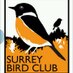 SurreyBirdClubNews (@surreybirdnews) Twitter profile photo SurreyBirdClubNews (@surreybirdnews) Twitter profile photo