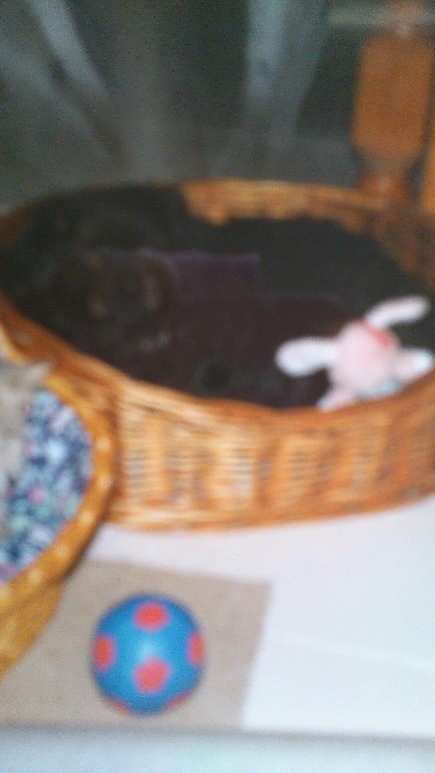 Perla__51's profile picture. Catalana i futbolera