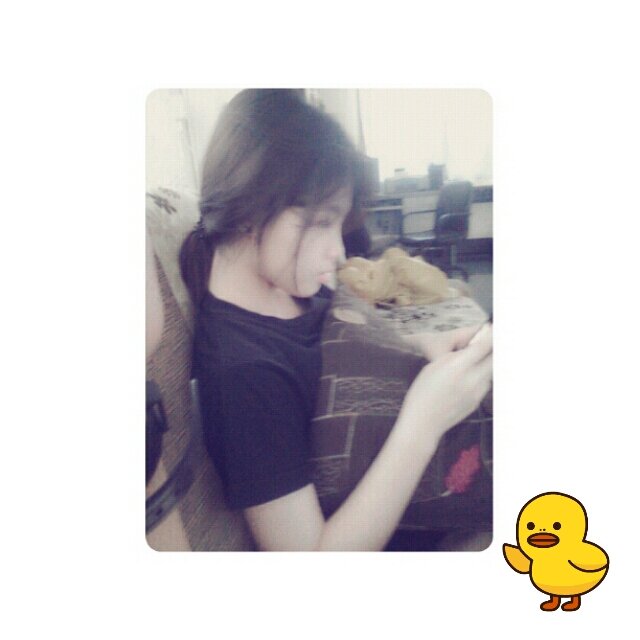 (twitter อันไหม่) Hello I'm NOK (◕‿◕❀) ฟอลมาคุยกับนกได้นะ ไม่หยิ่งเลย ฟอลมาฟอลกลับค่ะ ♥ follow me follow U (｡￫‿￩｡)
