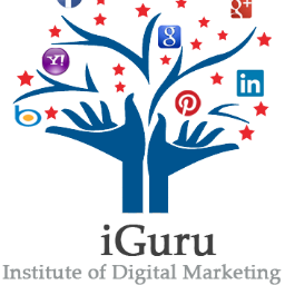 iGuruIDM's profile picture. Institute of Digital Marketing