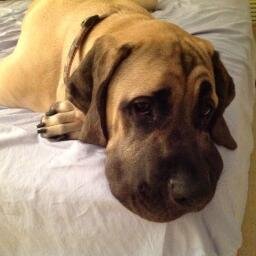 sadocs2's profile picture. 