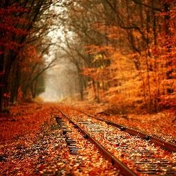 LumicaB's profile picture. 