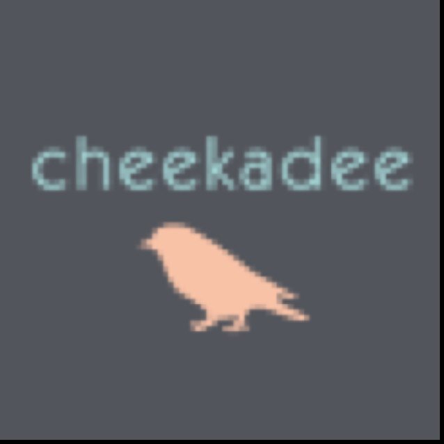 @cheekadeemakeup
