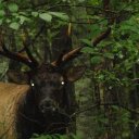 Tom Rossi - @landt69 - Twitter