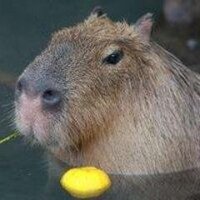 瑞原_啓徳 (@kaitak_jp) Twitter profile photo