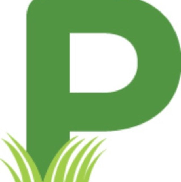 Webster Groves Patch is your source for local news.