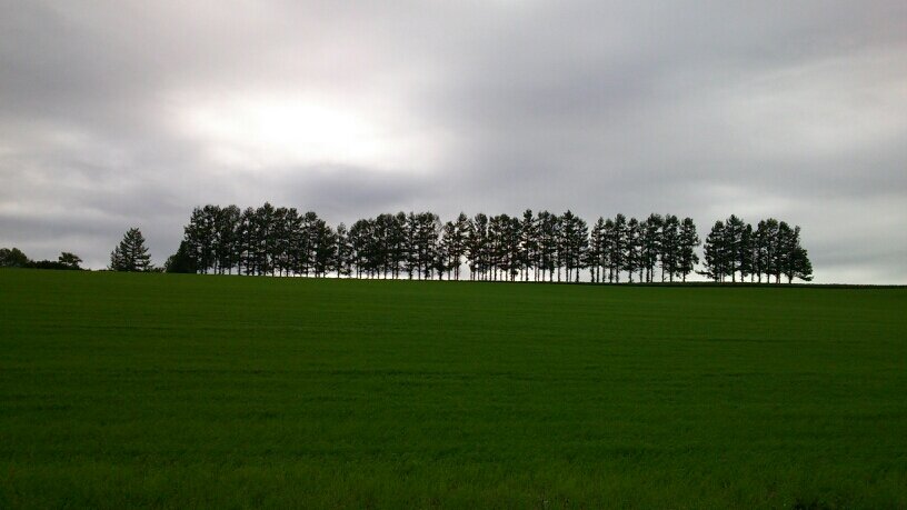 atk_1313's profile picture. 