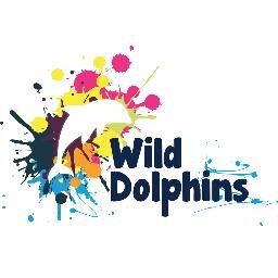 A mass public art event in Aberdeen from the 23rd June - 29th August 2014. #WildDolphins #Dolphie