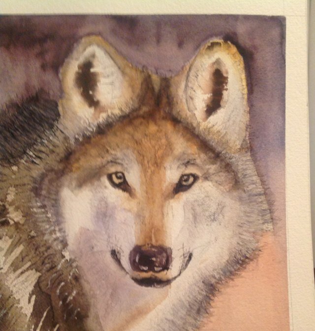 ElP222's profile picture. 