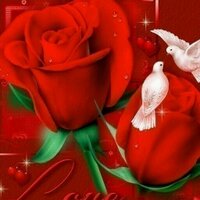 جوهرة الملتقى (@safiaaaq) Twitter profile photo