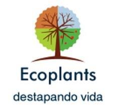 Puedes llenar tu casa o jardín de flores, hierbas y hortalizas sin necesidad de ensuciarte de tierra ni de cargar con pesadas macetas.