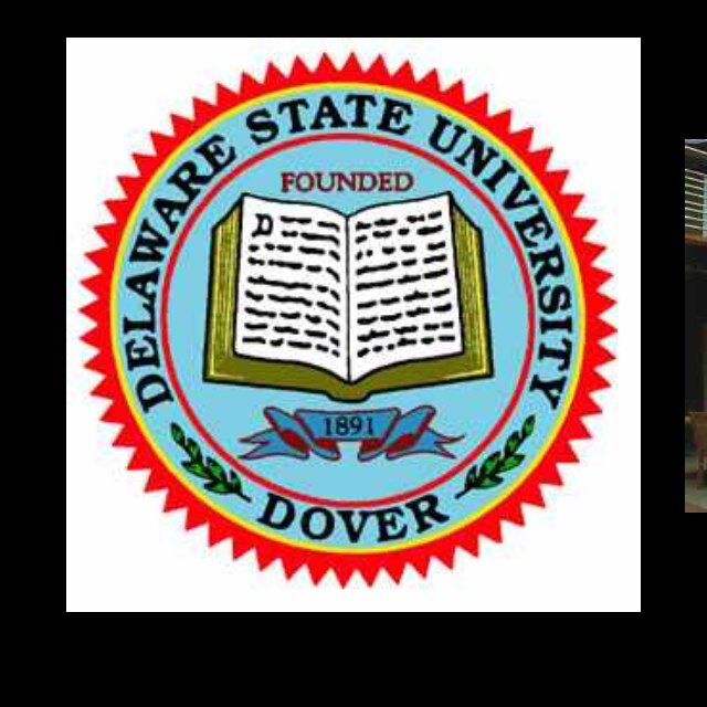 DSU Psych Club encourages excellence as students and citizens through academics and community service...IG: DSU_PSYCH