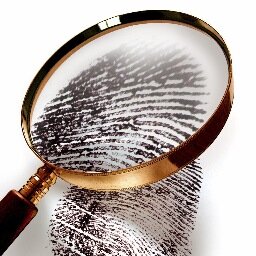 Murder n' Mayhem: Murder Mystery Parties