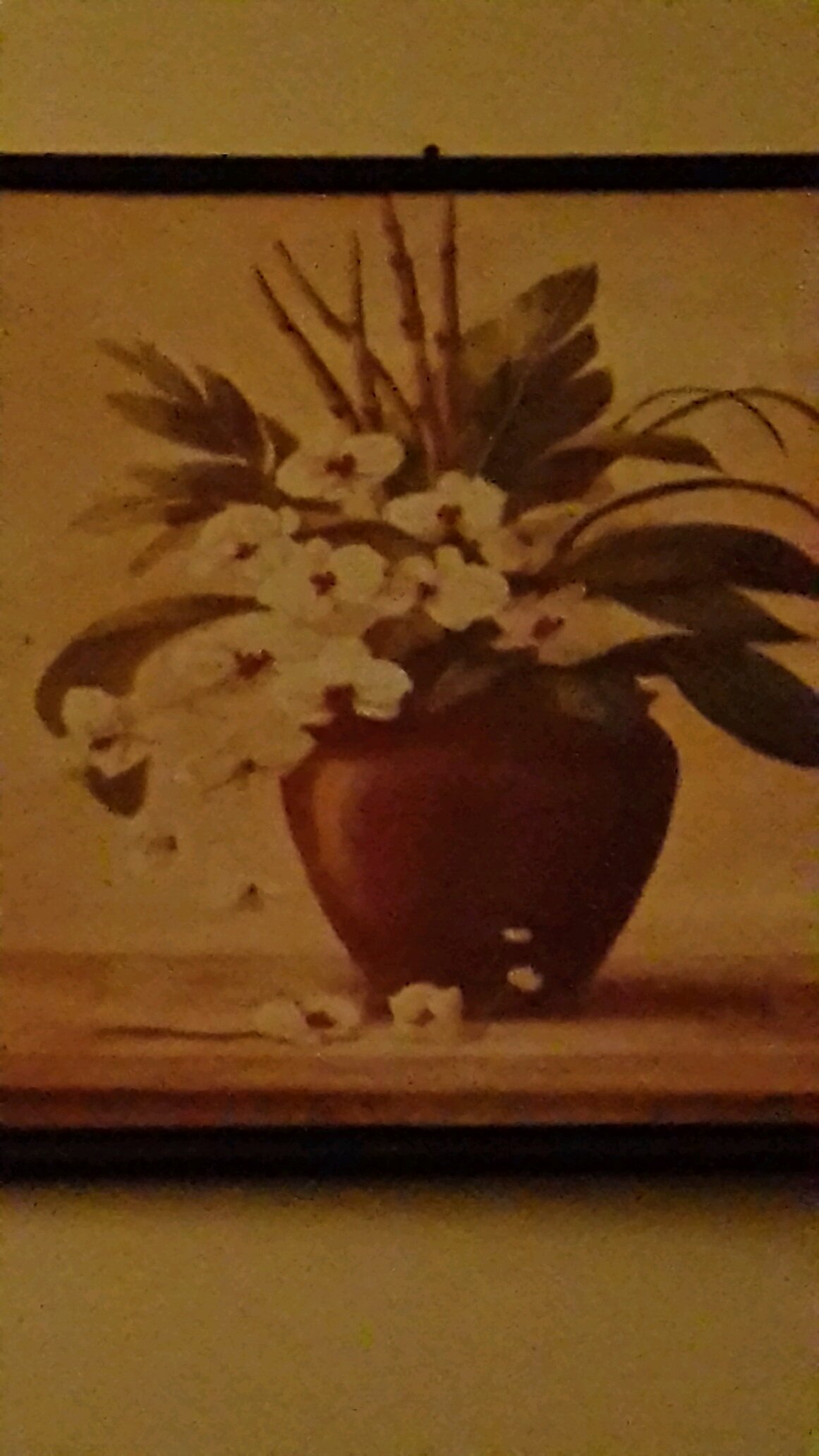 girlmoonroro's profile picture. 