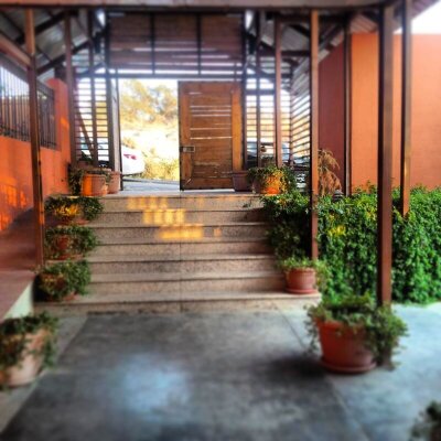 منتجع بيت الورد alward3335 twitter