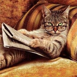 Soy un felino de pensamientos profundos.