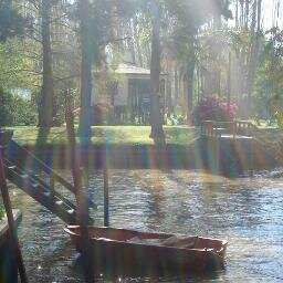 yamidepecuen1's profile picture. 