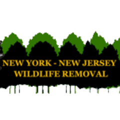 Humane Animal Control Remover