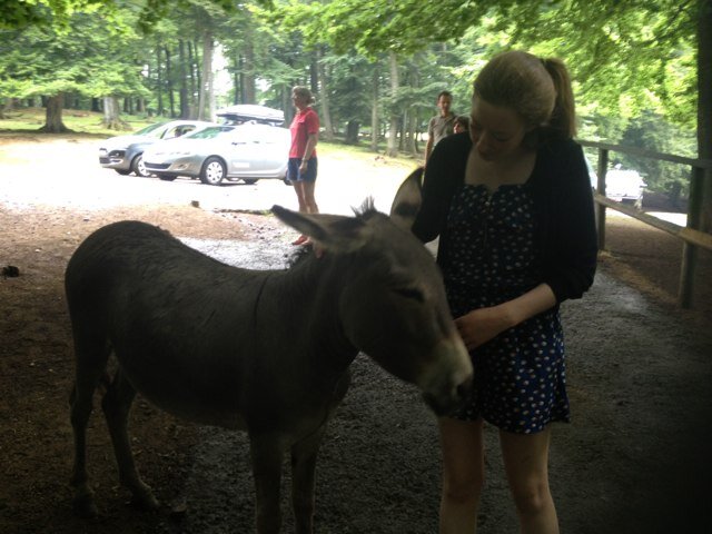 Theresa_Stone27's profile picture. 