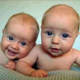 DaniBudani's profile picture. 