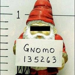 Eu vi gnomos...HAHAHAHA!