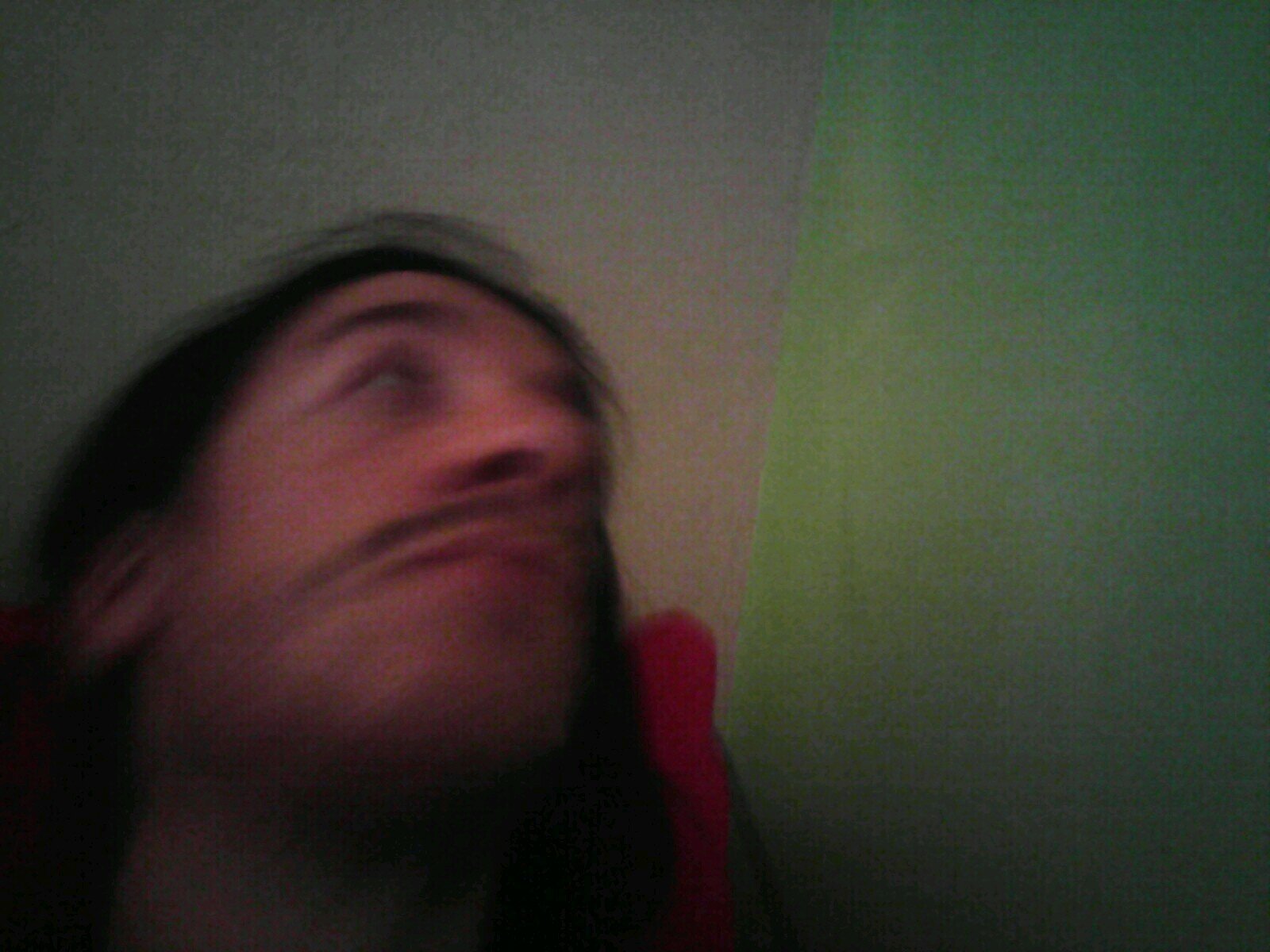 Selectochinchas's profile picture. uuuuu