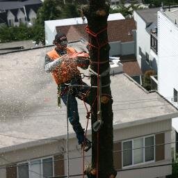 Roman Tree Service is a Tree Service in Toledo that has been serving the local community with quality services since 2013.