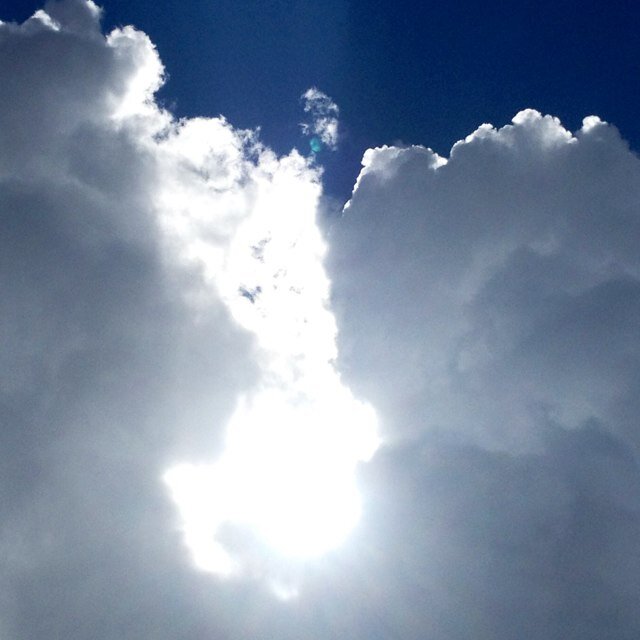 harveyrp's profile picture. 