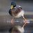 ThugMallard's profile image
