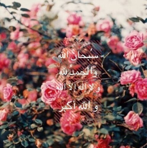 اللهم اجعل هذا الحساب صدقه جاريه لي ولأهلي ولأحبتي وكل من زار هذه الصفحه  فنتسارع بجمع الحسنات قبل فوات الاوان