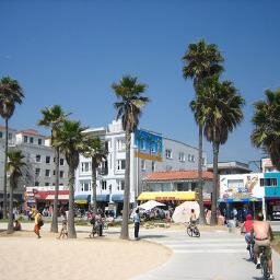 venice_la's profile picture. 