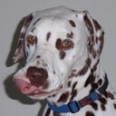 Clare Phyllis - @ClarePhyllis - Twitter