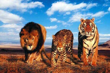 MaitreOuss's profile picture. Ou on réussit et on s'fait quelques ennemis, ou bien on loupe son coup et on s'fait quelques amis. C'est une question de choix..