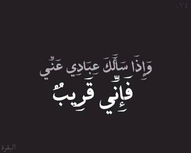 1199Mush's profile picture. 