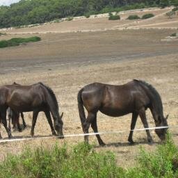 Seradelamar's profile picture. Profesor de enseñanza secundaria.