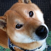 ムーミン (@blindman0616) 's Twitter Profile Photo