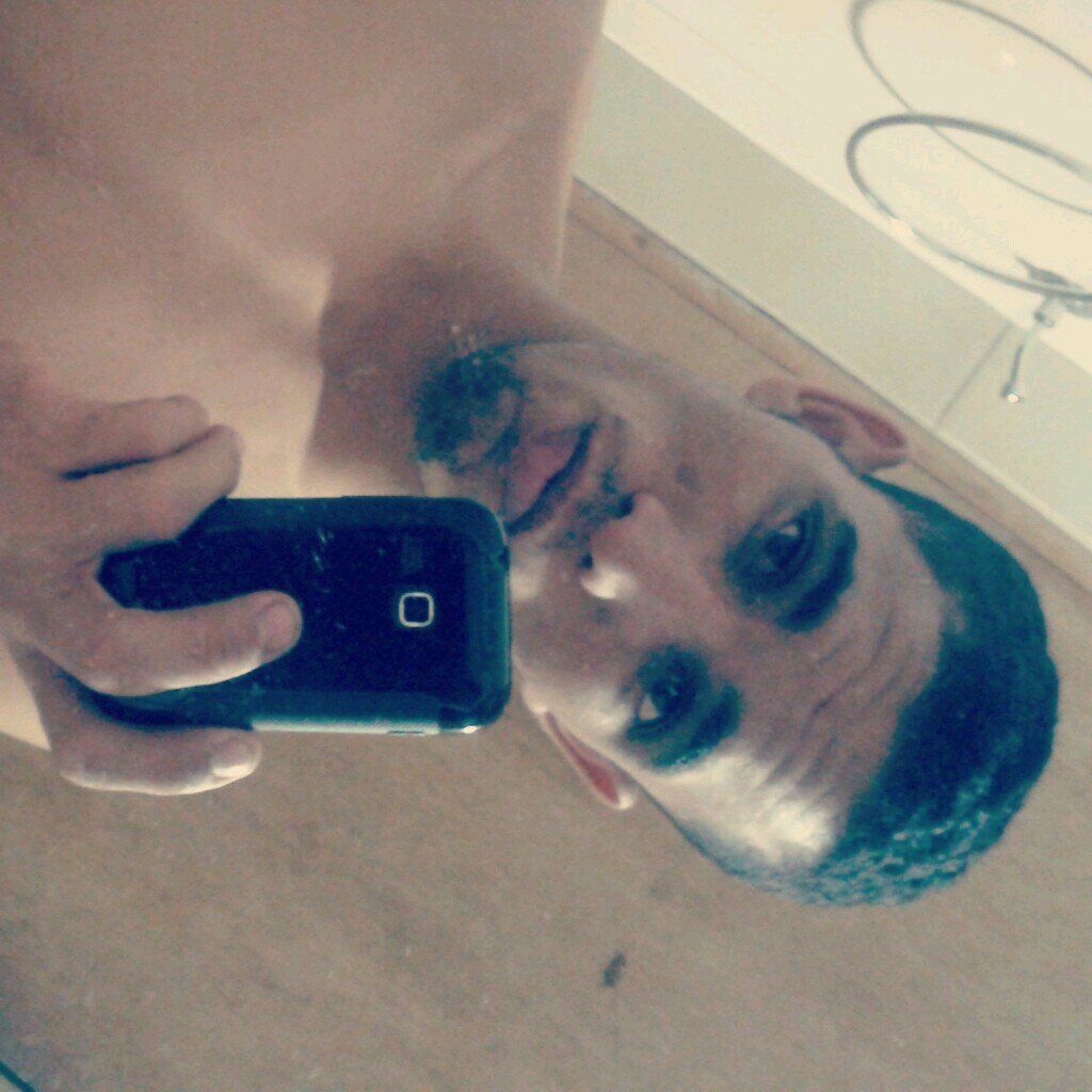wpp : (61) 8181-4859