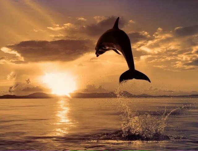 DiezkidsGive's profile picture. 