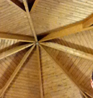 BairdToTheBone's profile picture. 