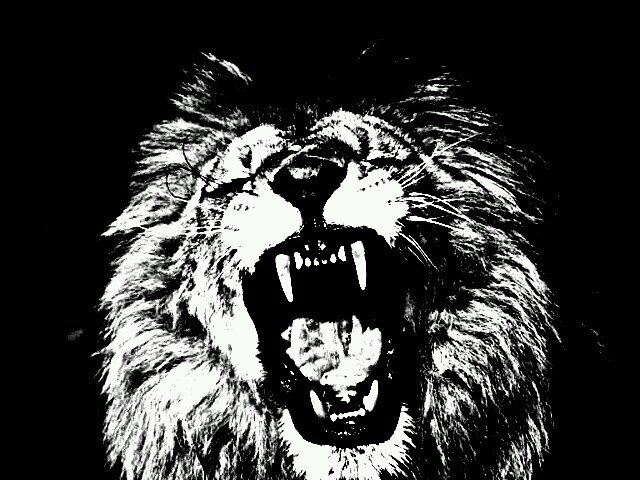 Fuck A Bio Just Know I Follow Back... d^_^ b It's Akizzle(P) #Bitch
