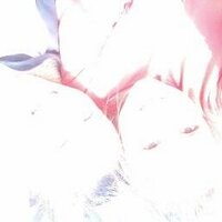Sofía Ossola (@sofiossola) 's Twitter Profile