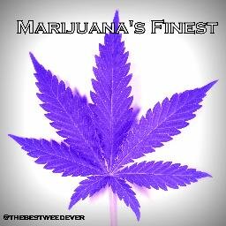 Follow to see some of the most exotic strains of marijuana on earth and become educated!  #legalizeit