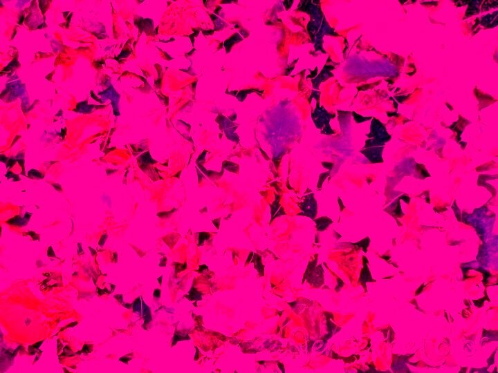 FeedMyReadsNA's profile picture. The New Adult division of the @FeedMyReads community. A great place for authors, reviewers & readers to chat about their fav NA! Tweets by @NookbksNmore