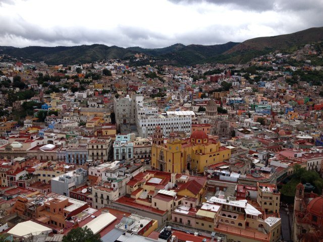 capital_gto's profile picture. 